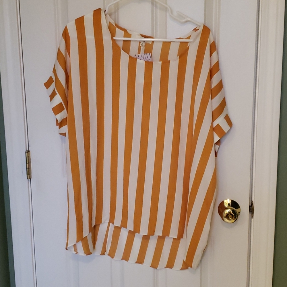 Umgee Striped Silky Tunic